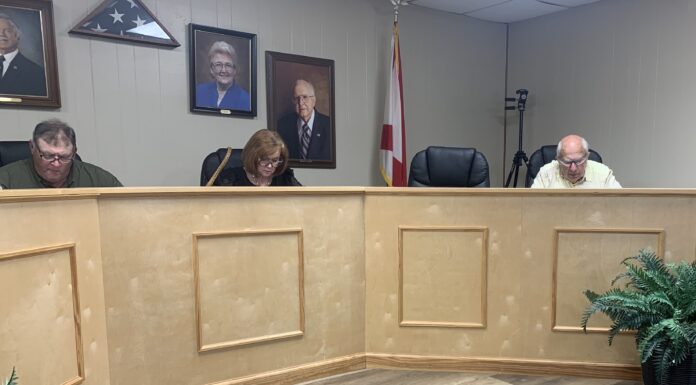 Seniors, BBQ and fireworks, OH MY! Vinemont council discusses upcoming events