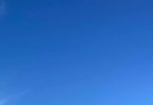 Keeping outdoor pets safe during extreme heat