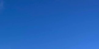 Keeping outdoor pets safe during extreme heat