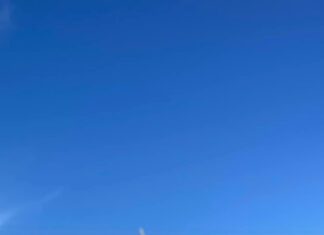 Keeping outdoor pets safe during extreme heat