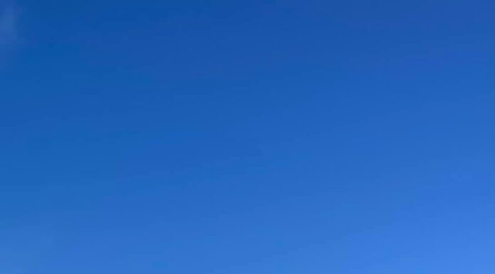 Keeping outdoor pets safe during extreme heat