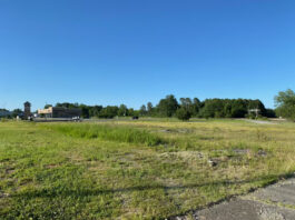 Academy Sports + Outdoors coming to south shopping center?