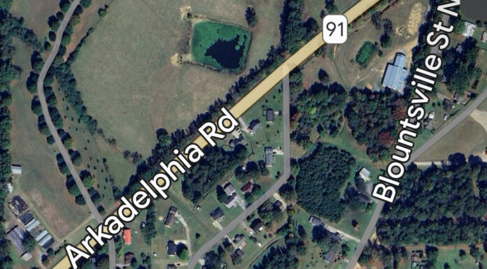 Alleged domestic violence incident turns deadly in Hanceville