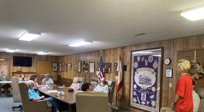 Fairview council talks new park, invites community input