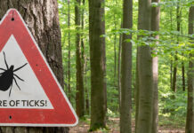 Protect yourself from tick bites – and what to do if you’re bitten