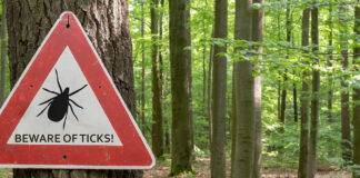 Protect yourself from tick bites – and what to do if you’re bitten