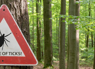 Protect yourself from tick bites – and what to do if you’re bitten