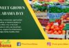 Celebrate Sweet Grown Alabama Day this Saturday, July 13 in Berlin