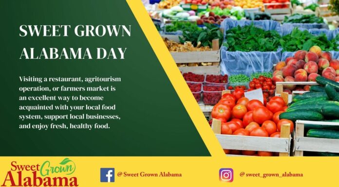 Celebrate Sweet Grown Alabama Day this Saturday, July 13 in Berlin