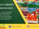 Celebrate Sweet Grown Alabama Day this Saturday, July 13 in Berlin