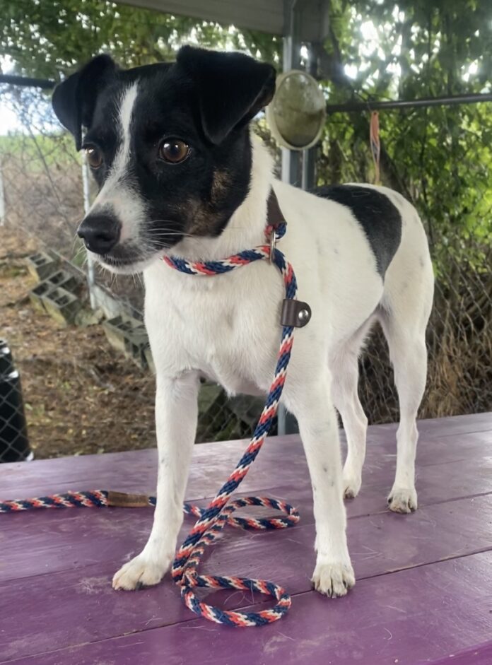 8079521E-382B-4AB5-95BC-B6308CA1E7AE