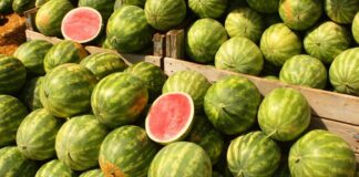 Watermelons: A treat to beat the summer heat
