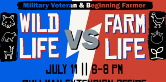 Learn to manage wildlife conflicts at free workshop July 11