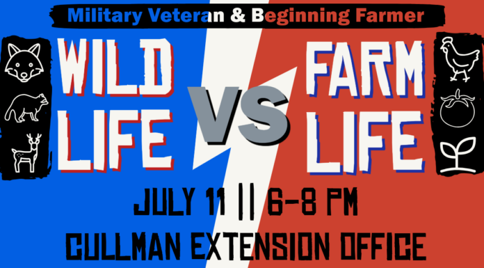 Learn to manage wildlife conflicts at free workshop July 11