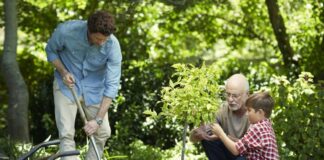 Guide to sunlight assessment in the garden