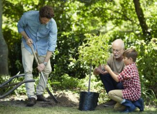 Guide to sunlight assessment in the garden