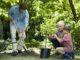 Guide to sunlight assessment in the garden