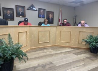 Vinemont council approves BBQ Fest plans, discusses monthly senior luncheon