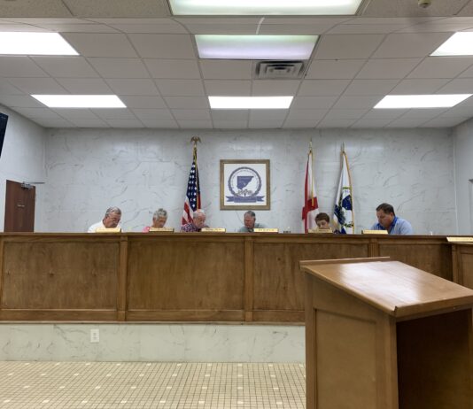 Hanceville City Council approves CCTV bid