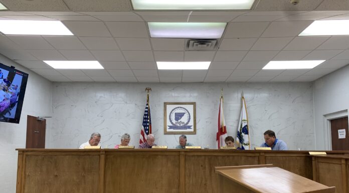 Hanceville City Council approves CCTV bid