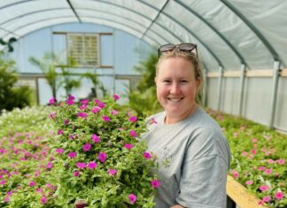 Keeping Cullman beautiful: Meet the ‘flower girls’