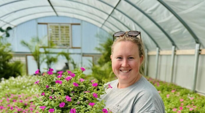 Keeping Cullman beautiful: Meet the ‘flower girls’