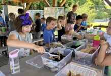 Cullman City Schools partners with city parks for STEM camp