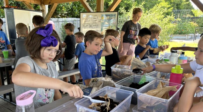 Cullman City Schools partners with city parks for STEM camp