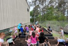 Alabama Extension agent gives tips for starting school garden