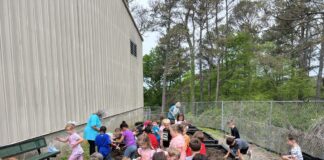 Alabama Extension agent gives tips for starting school garden