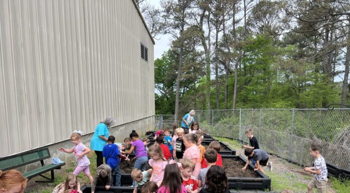 Alabama Extension agent gives tips for starting school garden