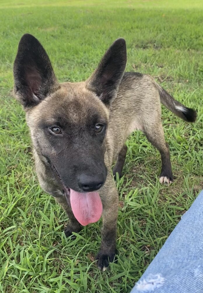 58213D6F-78D0-4644-906B-773F6030C3ED