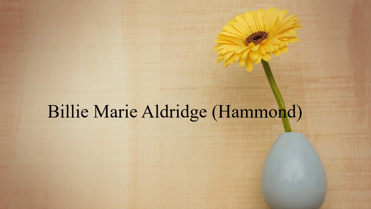 Billy Marie Alabama From a NATO Base to a Legal Limbo