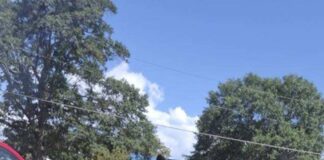 Joker and Amy: The adoption story that was meant to be