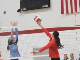 PREP VOLLEYBALL: Vinemont opens season with wins over Columbia, Cullman Christian
