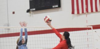 PREP VOLLEYBALL: Vinemont opens season with wins over Columbia, Cullman Christian