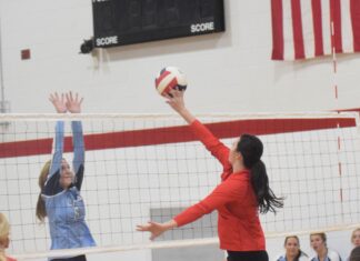 PREP VOLLEYBALL: Vinemont opens season with wins over Columbia, Cullman Christian