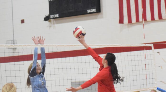 PREP VOLLEYBALL: Vinemont opens season with wins over Columbia, Cullman Christian