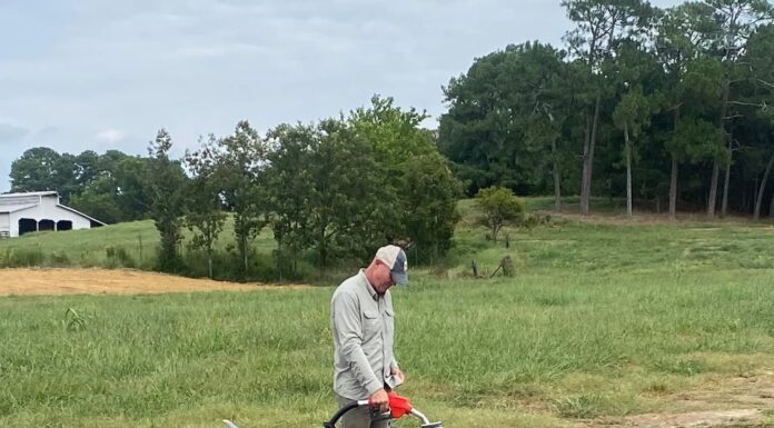 Local agricultural business employing drone tech