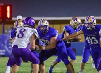 PREP FOOTBALL: Bulldogs bounce back with 36-20 win over Decatur Heritage