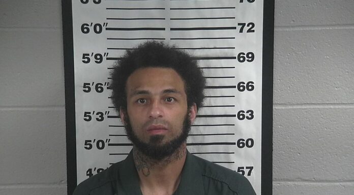 Hanceville man arrested for methamphetamine trafficking