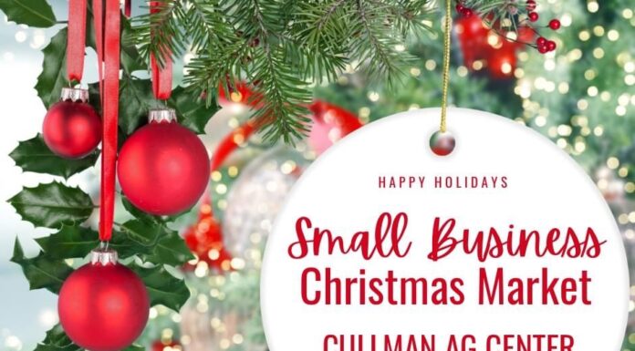 Pink Boot Boutique’s Small Business Christmas Market coming in November