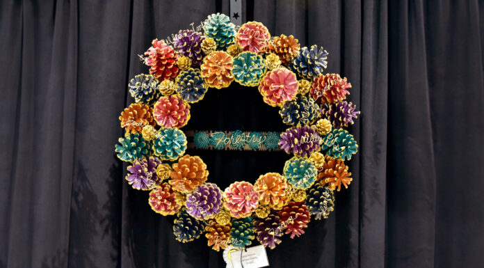 Cullman County’s McClellan, Haynes win ribbons at state Women’s Leadership Division contest