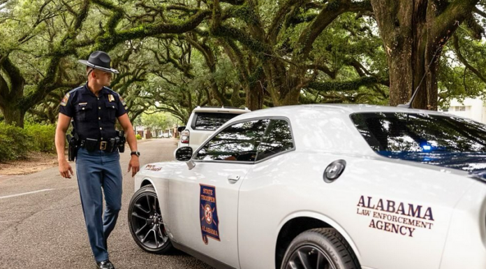 ALEA: Drive responsibly, arrive safely this school year