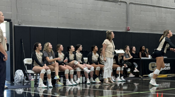 PREP VOLLEYBALL: Bearcats dominate Hartselle to earn Coach Amy Hudson’s 1st Cullman victory