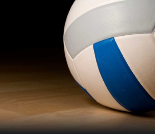 STATE VOLLEYBALL: 4 local teams carry championship hopes into AHSAA Elite Eight