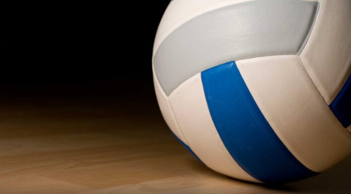 PREP VOLLEYBALL: Addison sweeps tri-match with Haleyville, Winston County