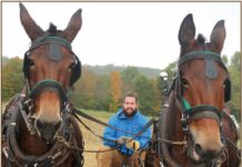 Peinhardt Farm Days scheduled for Oct. 19-20