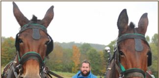 Peinhardt Farm Days scheduled for Oct. 19-20