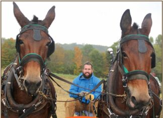 Peinhardt Farm Days scheduled for Oct. 19-20